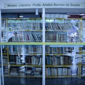 O Museu Literário Profa. Amélia Barreto de Souza - amostra da memória daleitura e da escrita no município de Vitória da Conquista, Bahia é composto de fragmentos de bibliotecas particulares, com muitas obras valiosas, exemplares deedições já esgotadas, livros com comentários escritos pelo leitor, dedicatórias, correspondências, hypomnematas. Contem originais manuscritos, datilografadosde autodidatas dentre os quais neo-escritores prisioneiros, trabalhadores rurais e de serviços informais, provenientes do Núcleo Letras de vida: escritas de si. Abriga o acervo de contos fabulares do projeto Histórias Populares do Sertão da Ressaca. É uma fonte preciosa para os estudos sobre cultura, leituras, escritas, linguagens, educação, modos de vida, comportamento e saber local. O serviço de Museu Literário Profa. Amélia Barreto de Souza foi organizado pelo Comitê Proler/UESB de V. da Conquista em 2006, com o apoio da Diretoria de Museus doEstado da Bahia - DIMUS e da Pro Reitoria de Extensão da Universidade Estadual do Sudoeste da Bahia - UESB. Está situado na Sala de Leitura Íris Silveira, espaço alternativo de leitura e de convivência social, sede do Comitê Proler/UESB de V. da Conquista, no Centro de Cultura Camillo de Jesus Lima. É aberto ao público para visitação e pesquisas