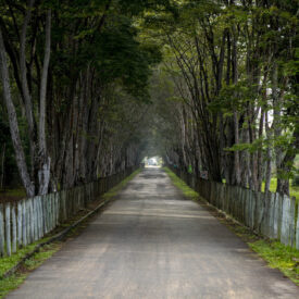 A Reserva Natural Vale (RNV), com área de aproximadamente 23 mil hectares, situa-se em Linhares, no Espírito Santo e se destaca pela sua biodiversidade. Integrante da Rota do Verde e das Águas, a RNV é um destino ecoturístico de exuberante paisagem. Oferece trilhas ecológicas, torre de observação, coleções científicas vivas, como palmeto, arboreto, pomar e coleções científicas secas de madeiras, frutos, sementes, insetos e um herbário referência em identificação de espécies da flora do ES. Também promove ações de Educação Ambiental para fortalecer o conhecimento local sobre sustentabilidade, apresentando grande potencial para descobertas e aprendizagens. O funcionamento é de terça a domingo, das 8h30 às 16h, entrada gratuita.