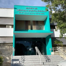 Imagem padrão