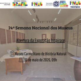Imagem padrão