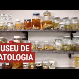 Imagem padrão