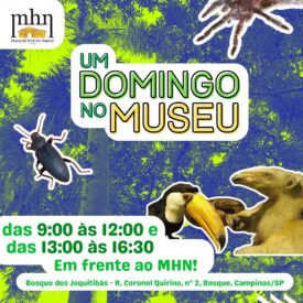 Imagem padrão