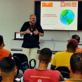 Imagem padrão