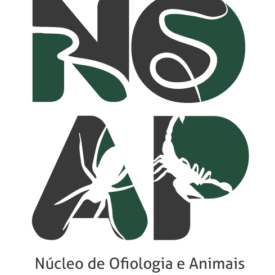 Imagem padrão
