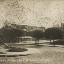 Imagem padrão