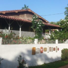 Imagem padrão