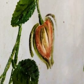 Imagem padrão