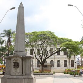 Imagem padrão