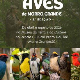 Imagem padrão