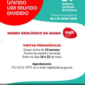 Imagem padrão