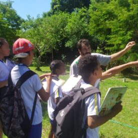 Imagem padrão