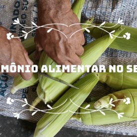 Imagem padrão