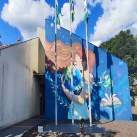 BIBLIOTECA CIDAADÃ MARCIA MASSARANDUBA NERES