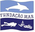 Cetáceo-Mergulhador-Naufrágio