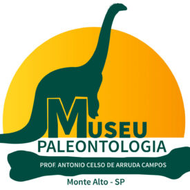 Imagem padrão