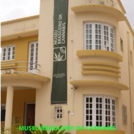 Inaugurado em 24 de abril de 2023, o Museu Brasileiro da Cannabis completa dois anos como um espaço pioneiro de educação, cultura e conscientização. Nesse período, se destacou por promover o diálogo aberto sobre a cannabis, reunindo arte, ciência e história em um ambiente acolhedor e informativo. Esses dois anos representam um avanço importante na quebra de estigmas e na valorização do conhecimento.