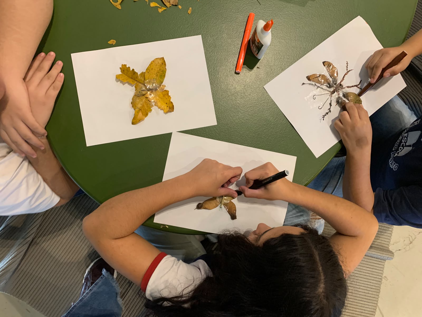 O MEA - Memorial da Evolução Agrícola, localizado em Horizontina/RS promove gratuitamente atividades educativas que envolvem a comunidade ao conhecimento cultural e socioambiental a partir do tema central: agricultura