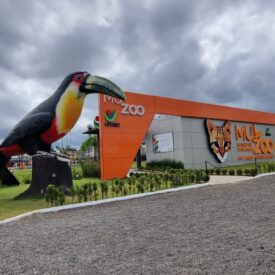 Imagem padrão