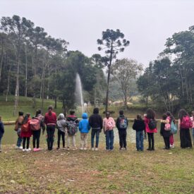 Imagem padrão