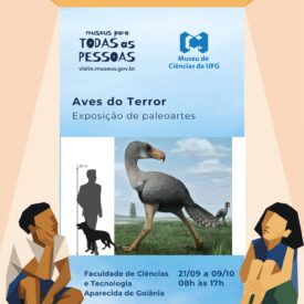 Imagem padrão