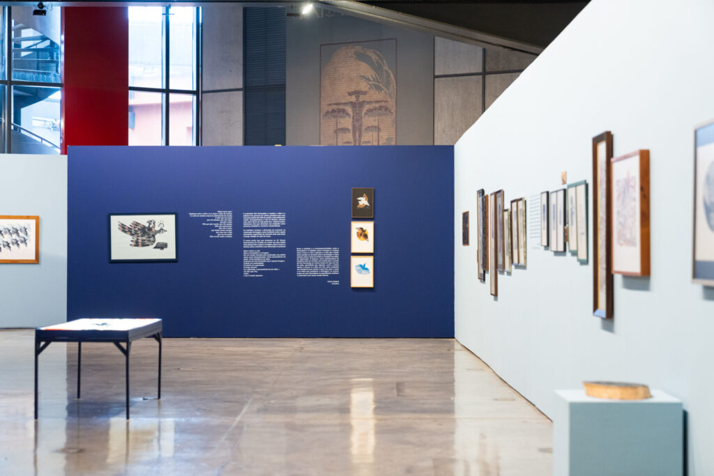 Vista geral do espaço expositivo, com obras de Ciro Fernandes distribuídas em paredes azul clara e em uma parede azul escura central. Ao fundo e no centro estão textos curatoriais e trabalhos do artista, enquanto uma mesa expositiva integra a montagem da exposição.