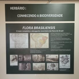 Imagem padrão