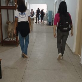 Imagem padrão