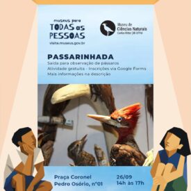 Imagem padrão