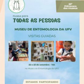 Imagem padrão