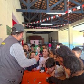 Imagem padrão
