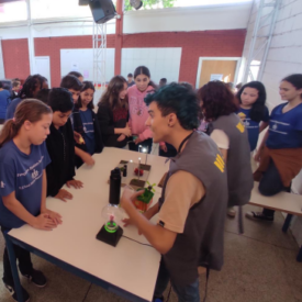 Imagem padrão