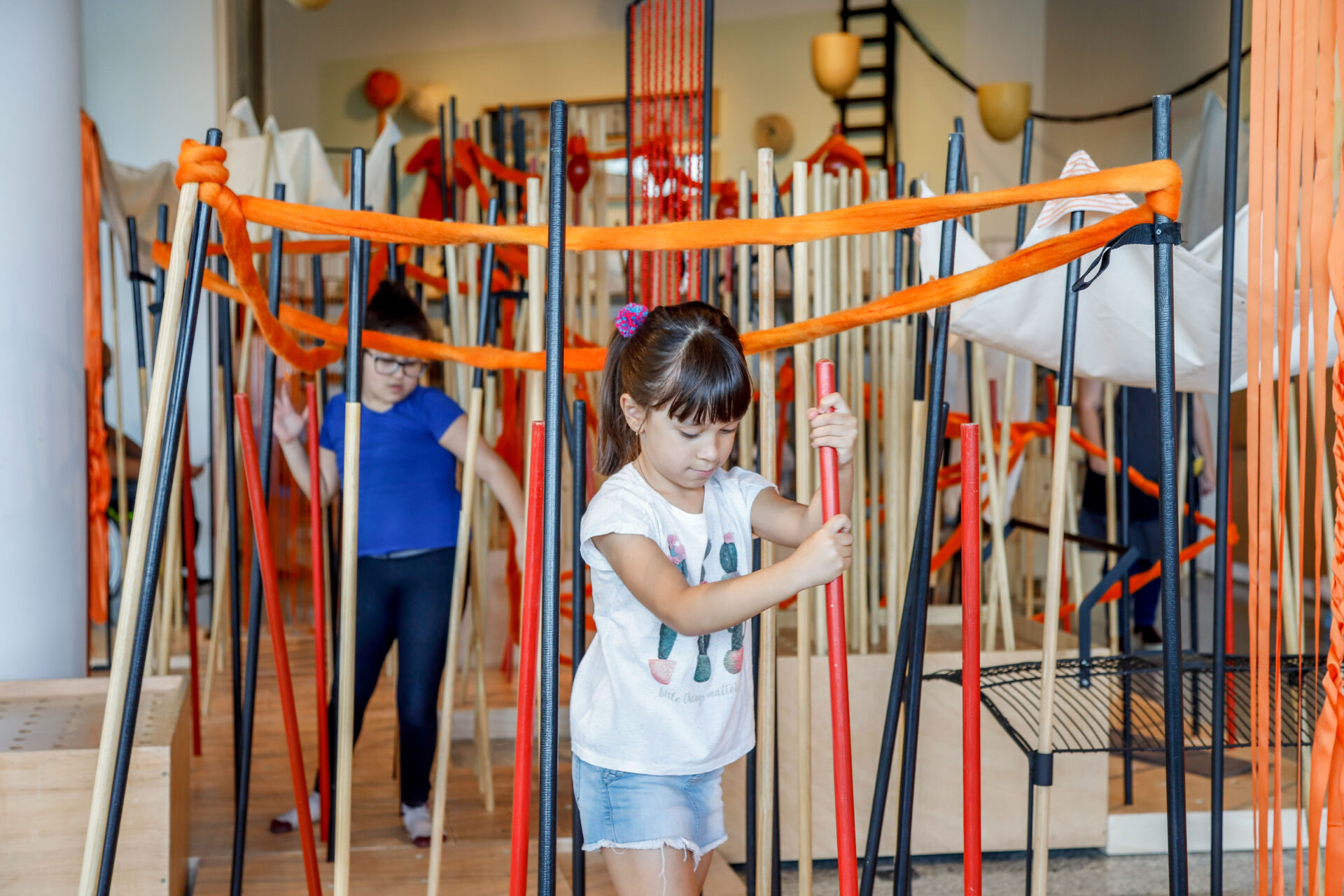 Mirando Mirantes Nelson Leirner - de Stela Barbieri