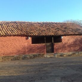 Imagem padrão