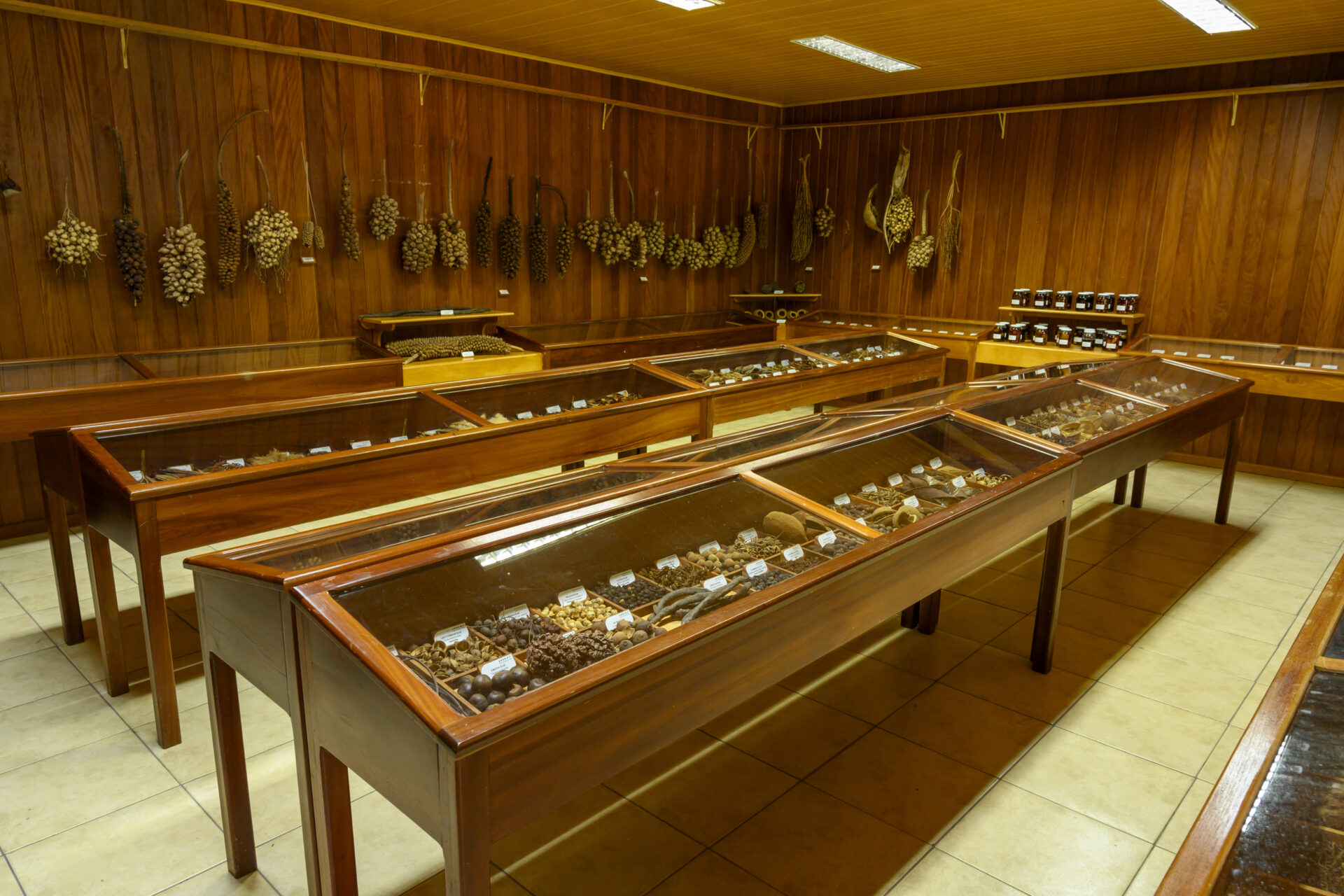 Coleções secas. (Foto: Sagrilo)