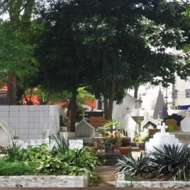 Imagem padrão
