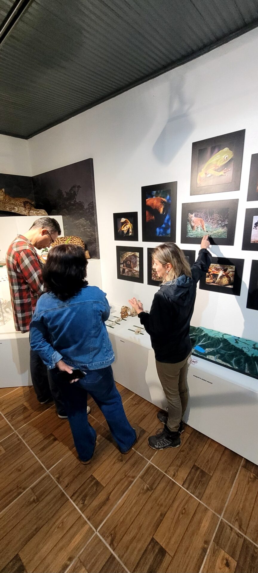 Escolas e Comunidade