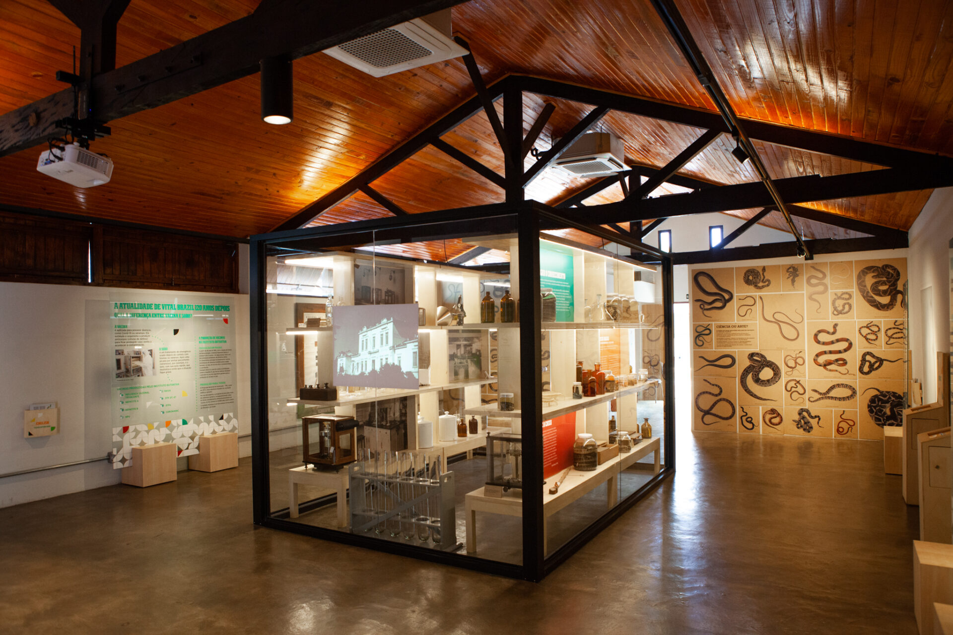 Sala exposição no Museu Histórico do Instituto Butantan. Em destaque, uma vitrine expositiva com acervo histórico e zoológico